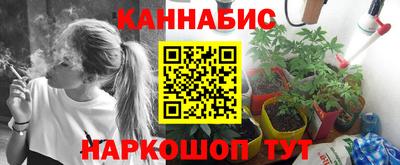 стаф Ливны