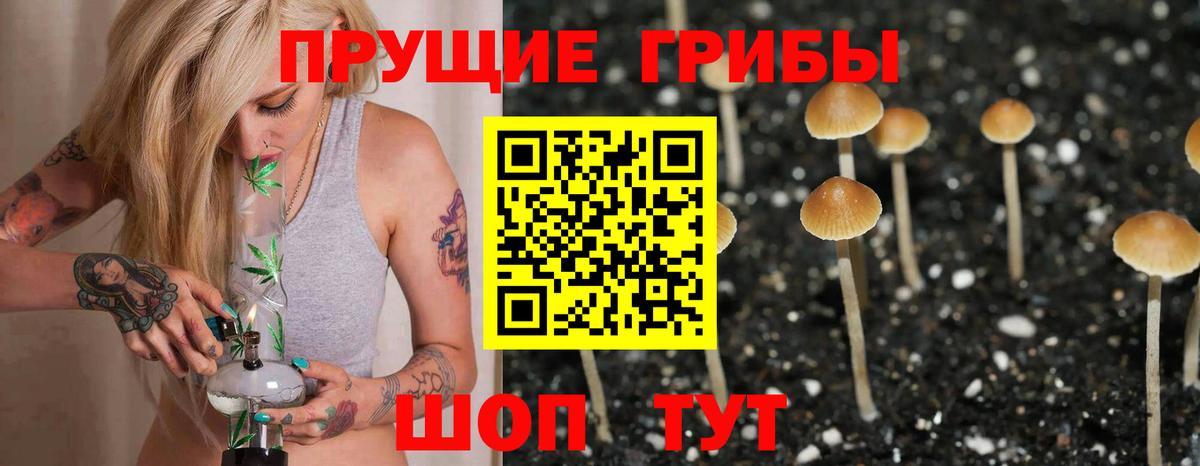Псилоцибиновые грибы прущие грибы  Вход с VPN  Сосновый Бор  Галлюциногенные грибы ЛСД 